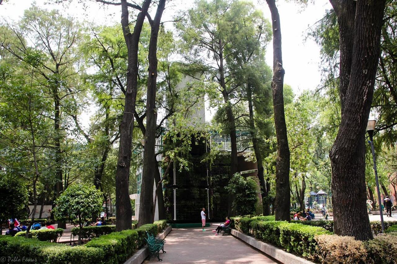 Hotel Patriotismo 墨西哥城 外观 照片